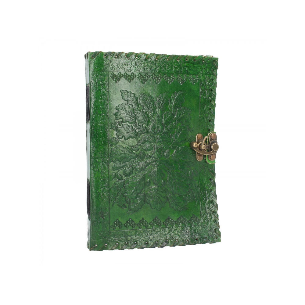 Nemesis Now - Greenman Lock Journal - Green